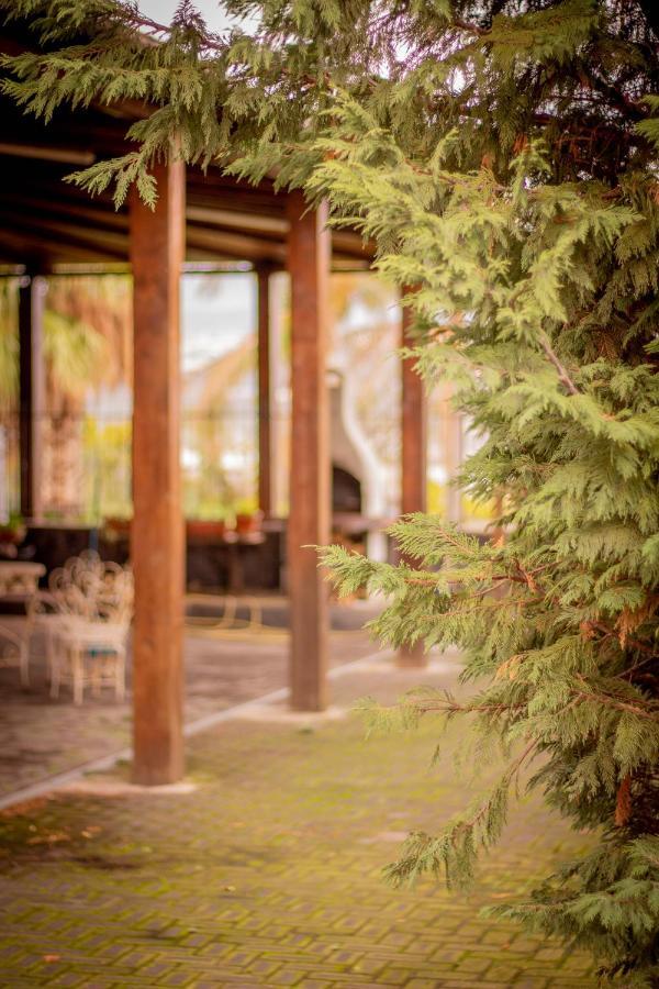 Bed and Breakfast Bed & Breakfast Kalinka Motta SantʼAnastasia Exteriér fotografie